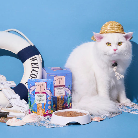 สูตรบำรุงปรับสมดุล รสปลาทูน่า ไวท์เบทในดาชิซุป ( 12 ซอง )