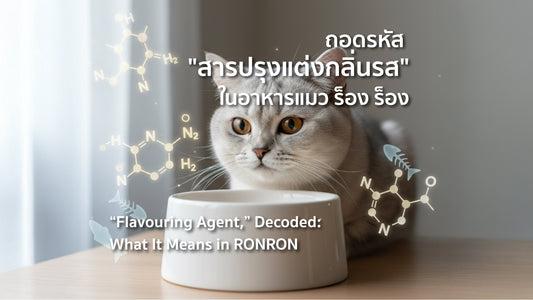 ถอดรหัส "สารปรุงแต่งกลิ่นรส" ในอาหารแมว ร็อง ร็อง
