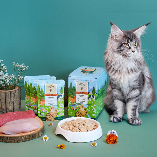 Indoor Joint + ( Box ) 12 Pouches