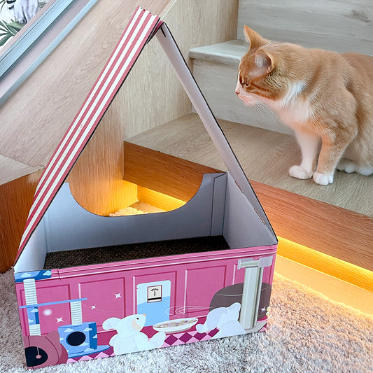 Cat House Box
